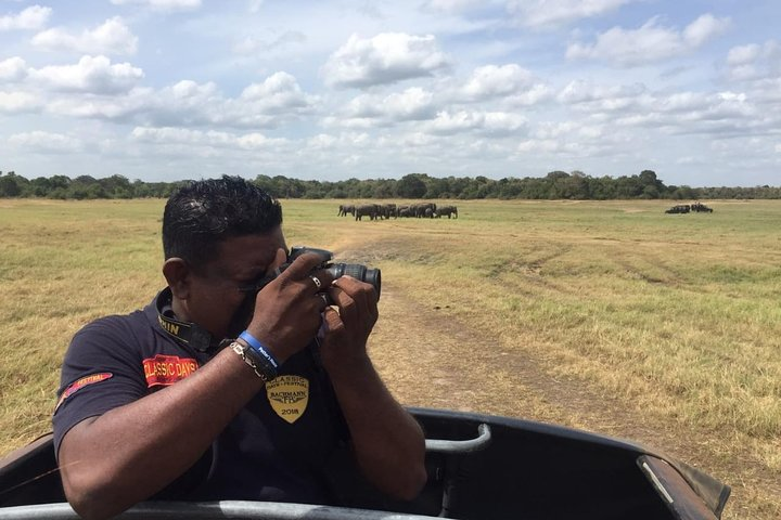 Yala National Park Full-Day Jeep Safari with Lunch - Photo 1 of 10